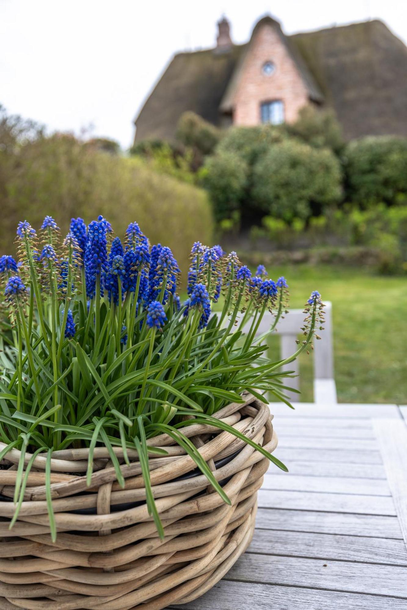 Reethus Mit Kamin Und Suedgarten In Direkter Wattnaehe Holiday home Keitum